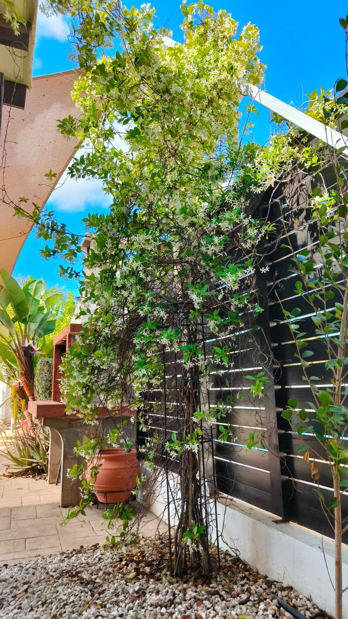 Cy-Blue Villa Protaras Exterior photo